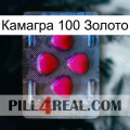 Камагра 100 Золото 13